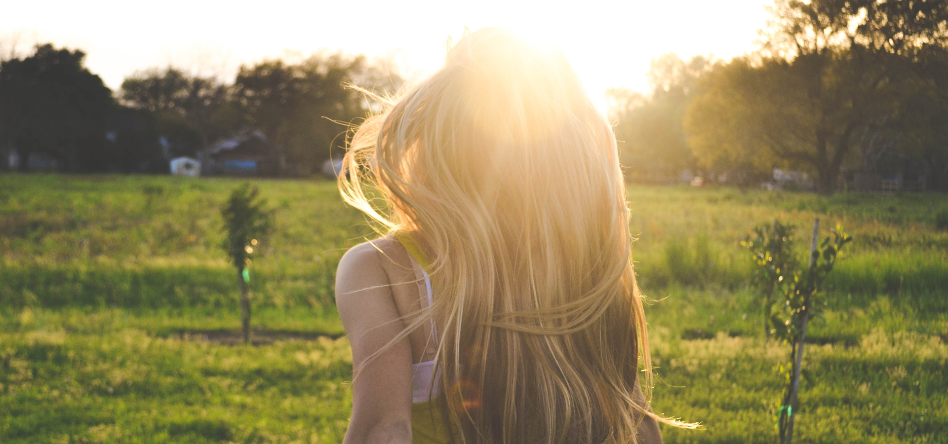 lorem ipsum dolor sit